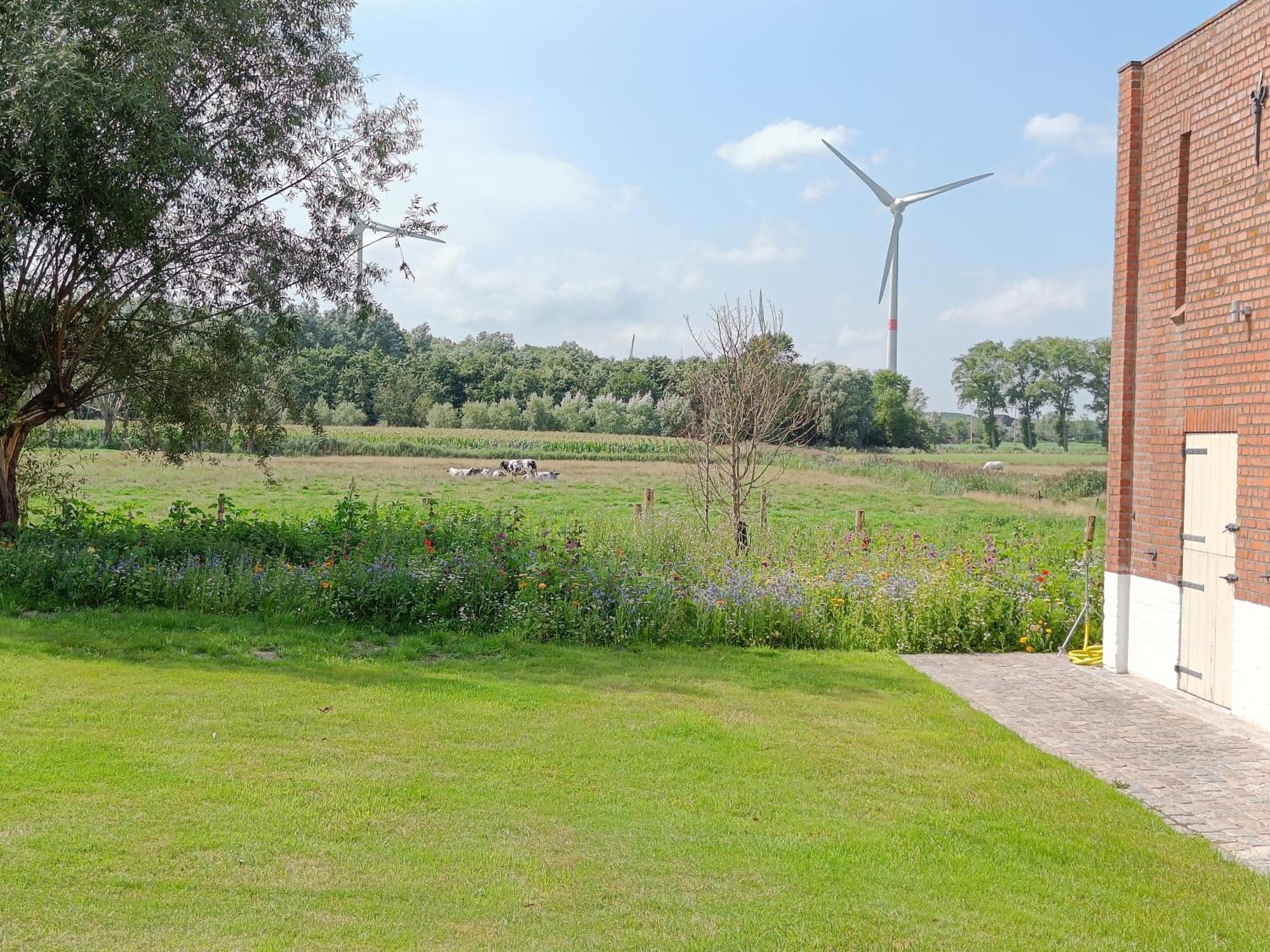 Beautiful 3-Bedroom - 3-Bathroom Appartment Pendula Bruges Exterior foto